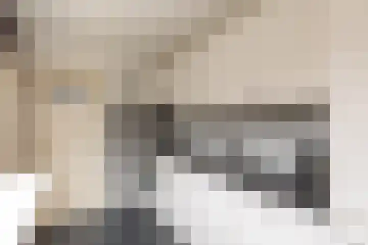 Nauwe Geldelozepad 38 Haarlem thumbnail 17