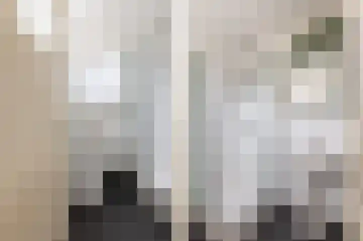 Nauwe Geldelozepad 38 Haarlem thumbnail 18