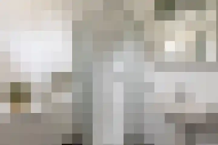 Nauwe Geldelozepad 38 Haarlem thumbnail 19
