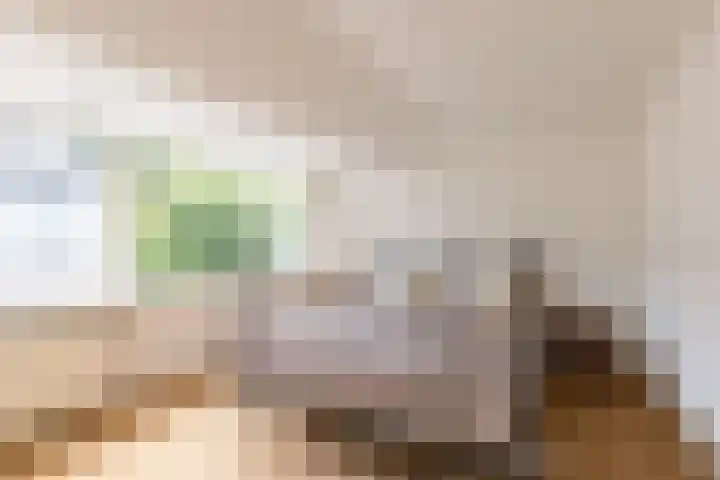 Nauwe Geldelozepad 38 Haarlem thumbnail 23