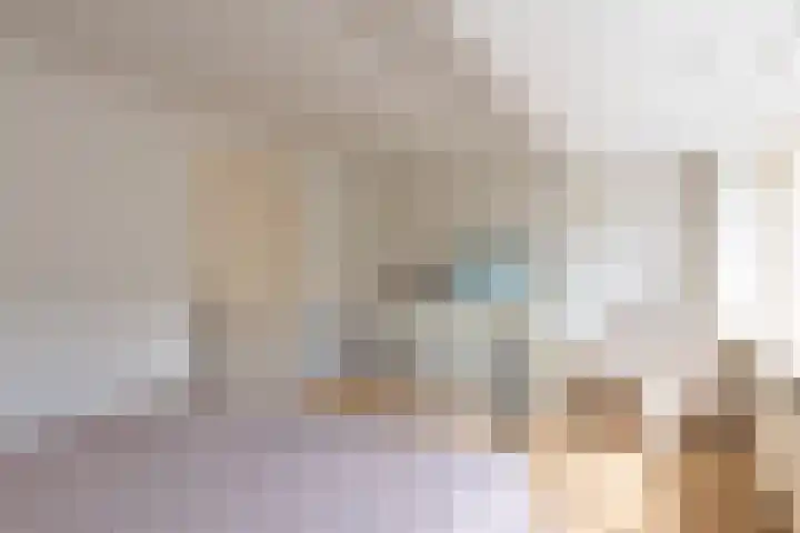 Nauwe Geldelozepad 38 Haarlem thumbnail 25
