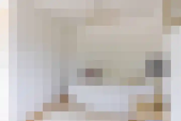 Nauwe Geldelozepad 38 Haarlem thumbnail 28
