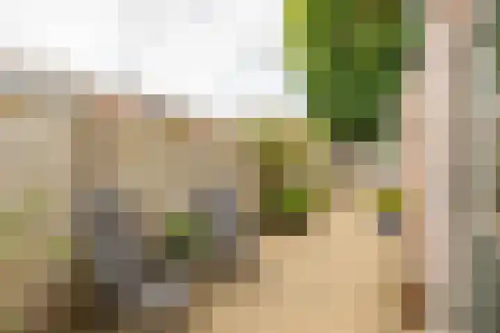 Nauwe Geldelozepad 38 Haarlem thumbnail 33
