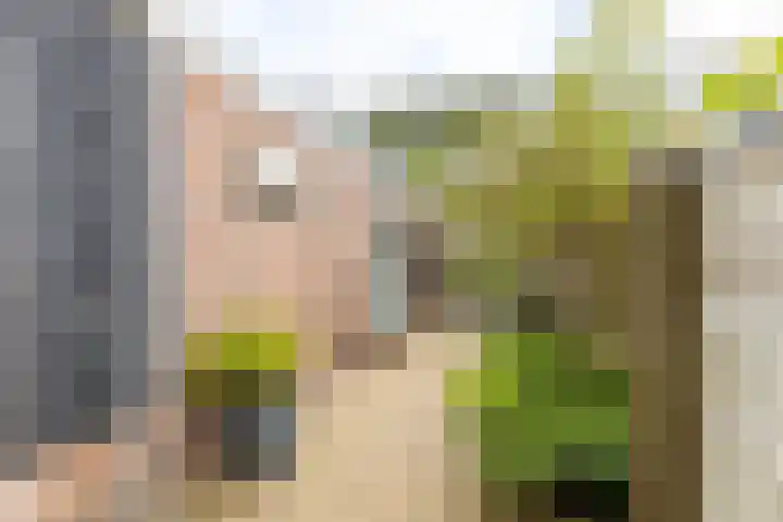 Nauwe Geldelozepad 38 Haarlem thumbnail 35