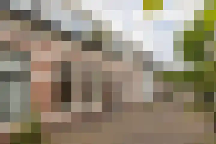 Nauwe Geldelozepad 38 Haarlem thumbnail 37