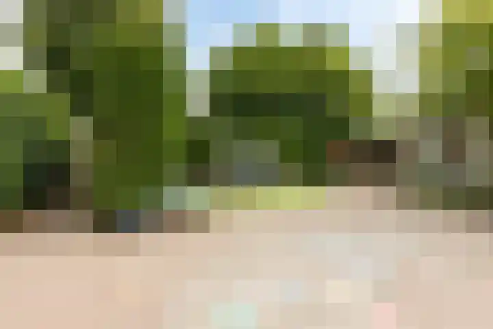 Nauwe Geldelozepad 38 Haarlem thumbnail 38