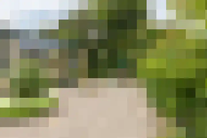 Nauwe Geldelozepad 38 Haarlem thumbnail 39