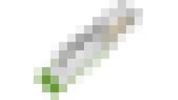 Nauwe Geldelozepad 38 Haarlem thumbnail 42