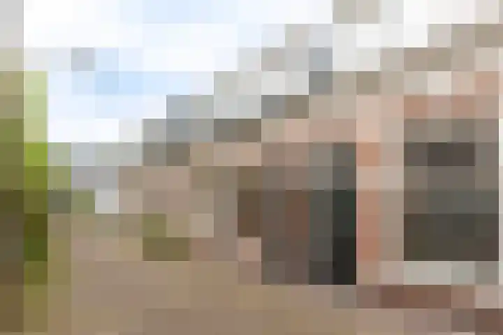 Nauwe Geldelozepad 38 Haarlem thumbnail 52