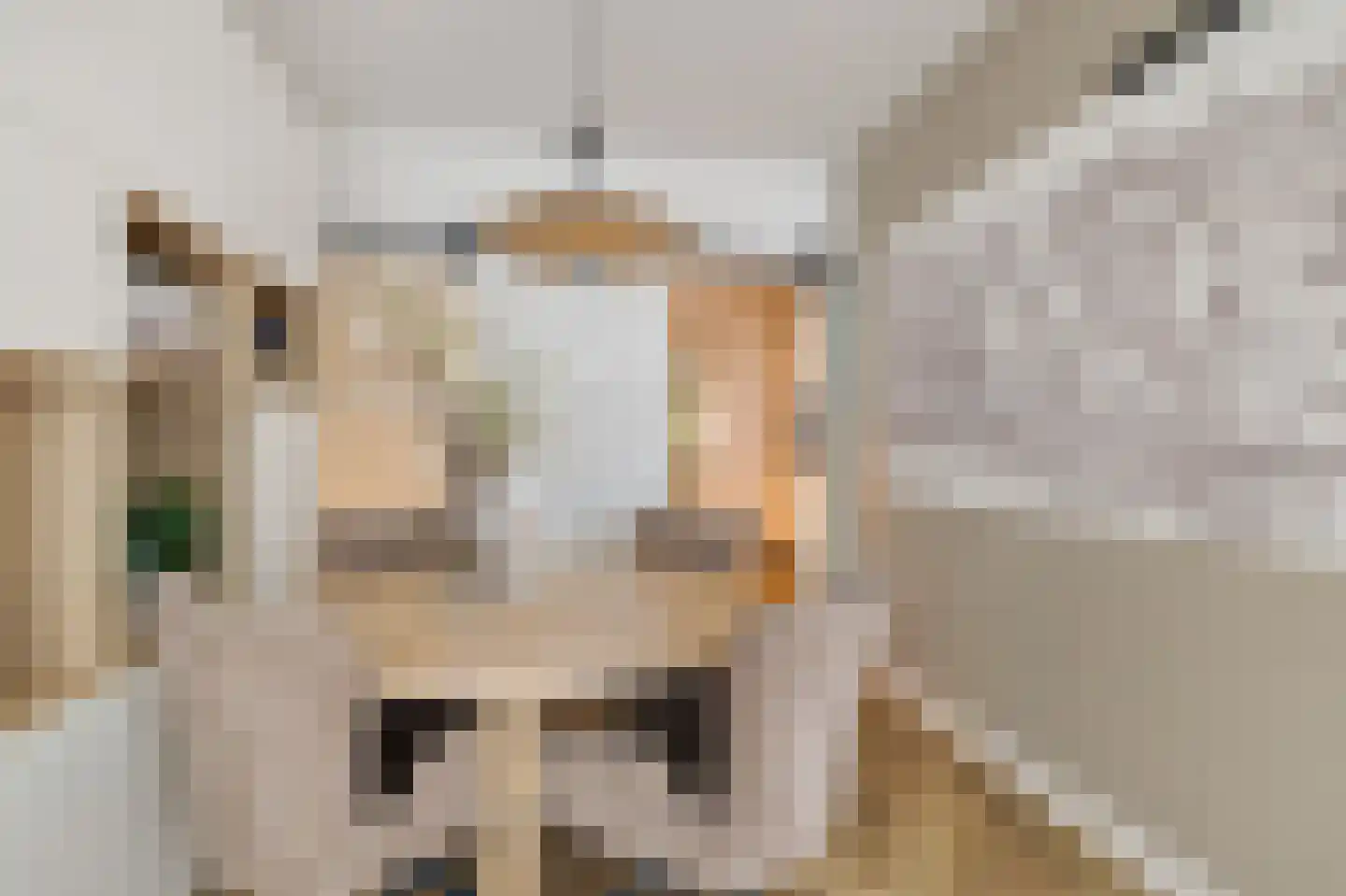 Nauwe Noorderhorne 5 Sneek thumbnail 10