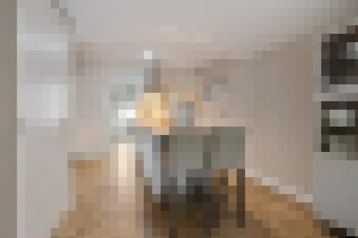 Nauwe Noorderhorne 5 Sneek thumbnail 12