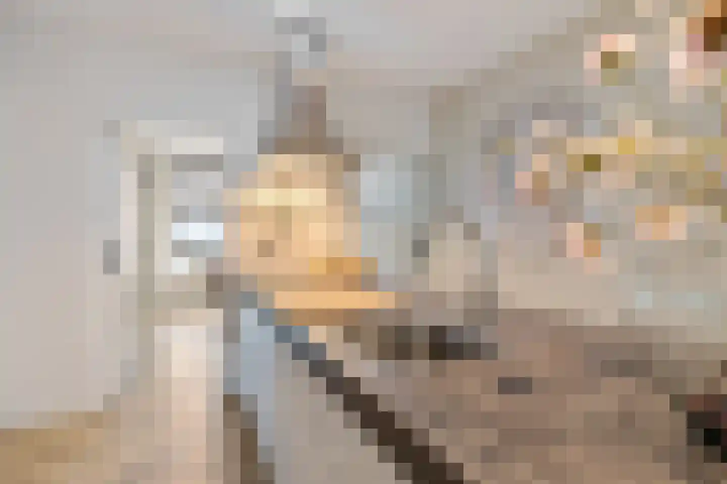 Nauwe Noorderhorne 5 Sneek thumbnail 13