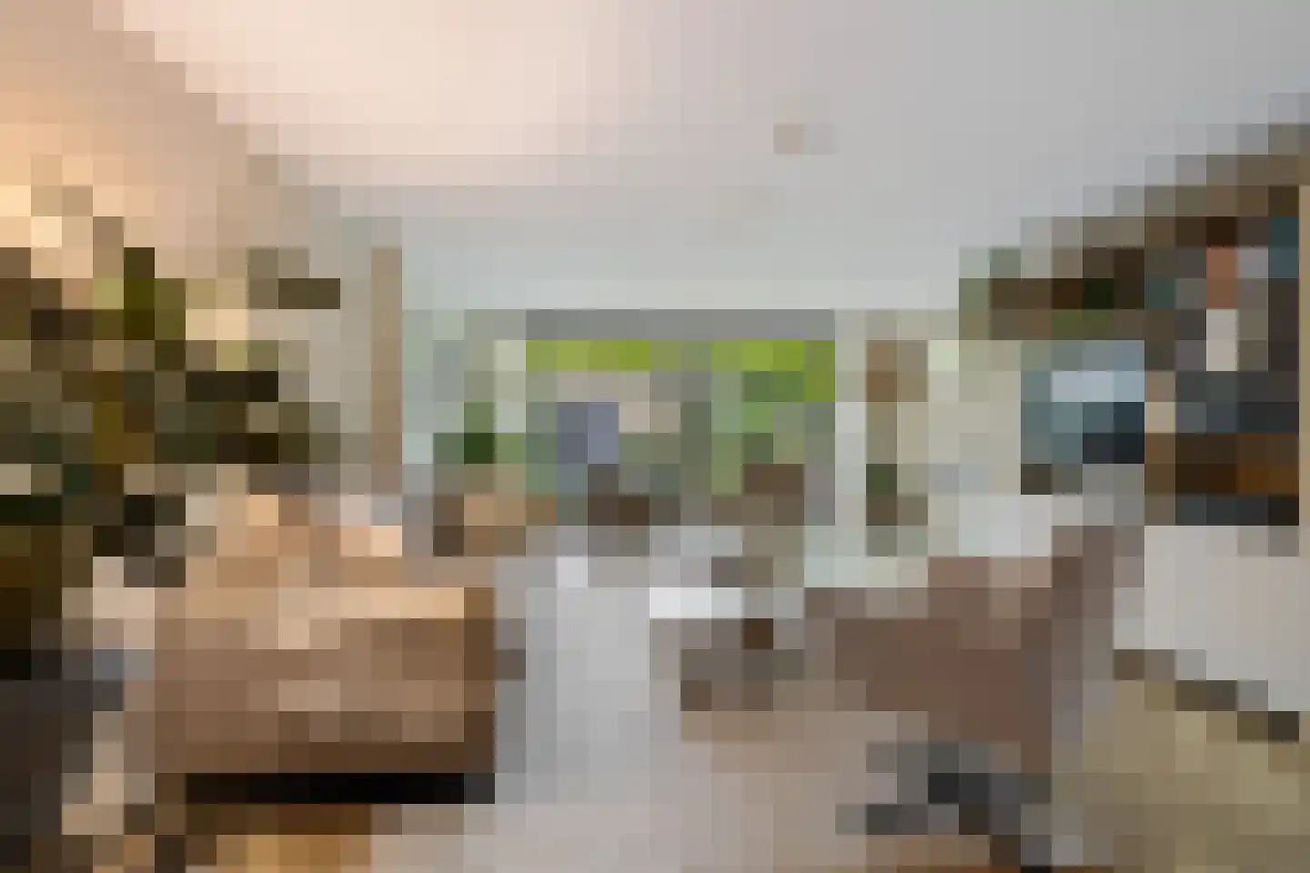 Nauwe Noorderhorne 5 Sneek thumbnail 17