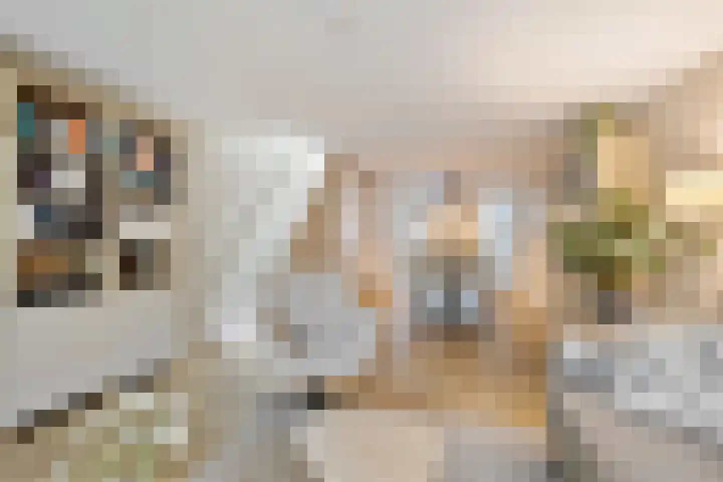 Nauwe Noorderhorne 5 Sneek thumbnail 20