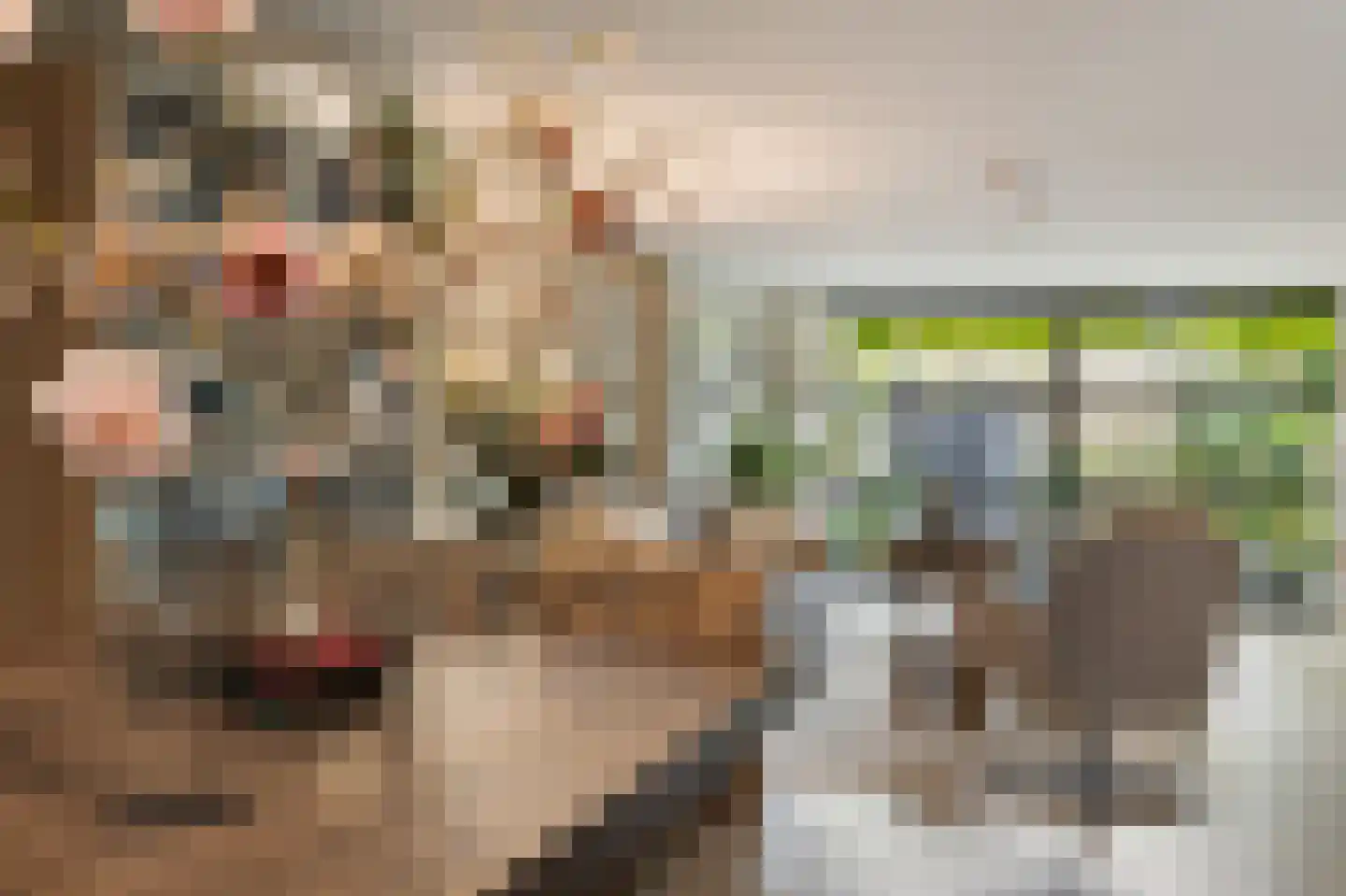 Nauwe Noorderhorne 5 Sneek thumbnail 24