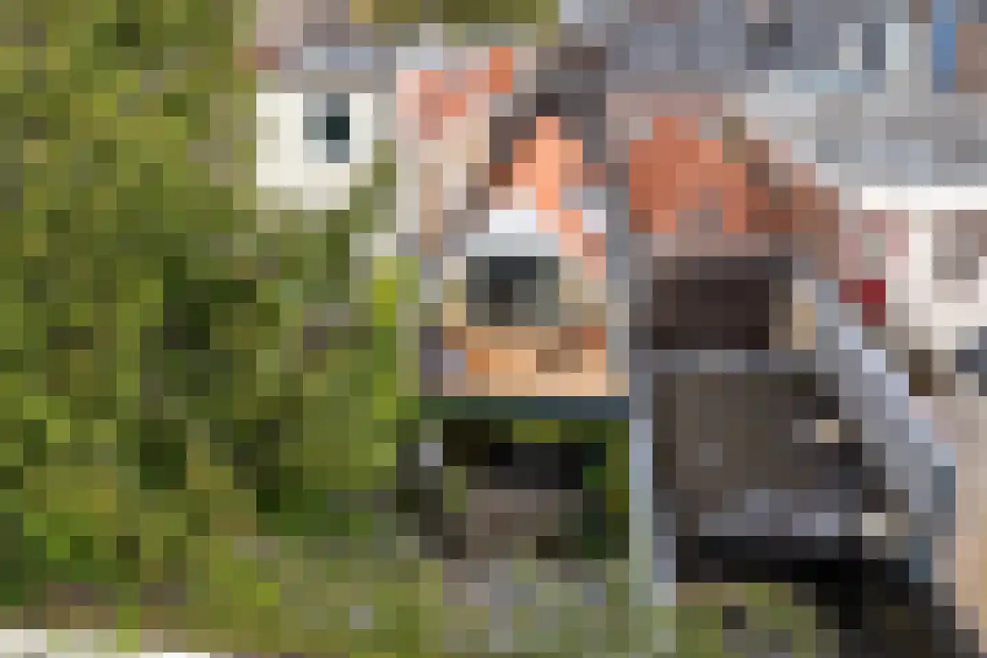 Nauwe Noorderhorne 5 Sneek thumbnail 42