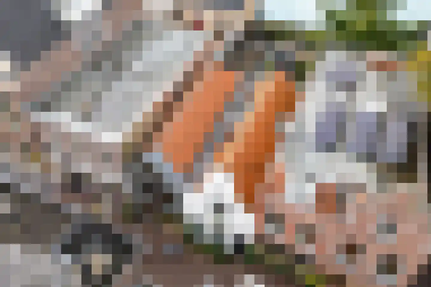 Nauwe Noorderhorne 5 Sneek thumbnail 46