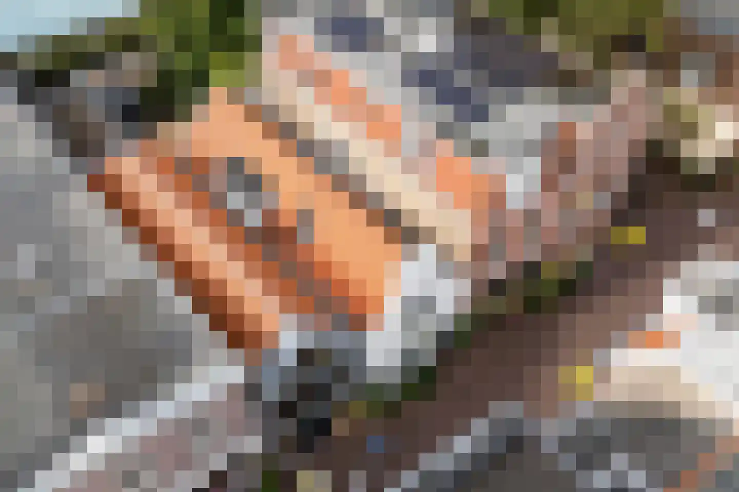 Nauwe Noorderhorne 5 Sneek thumbnail 47