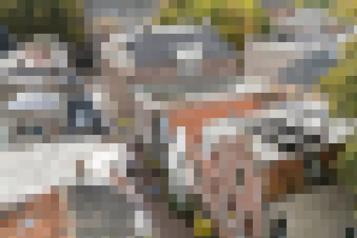 Nauwe Noorderhorne 5 Sneek thumbnail 48