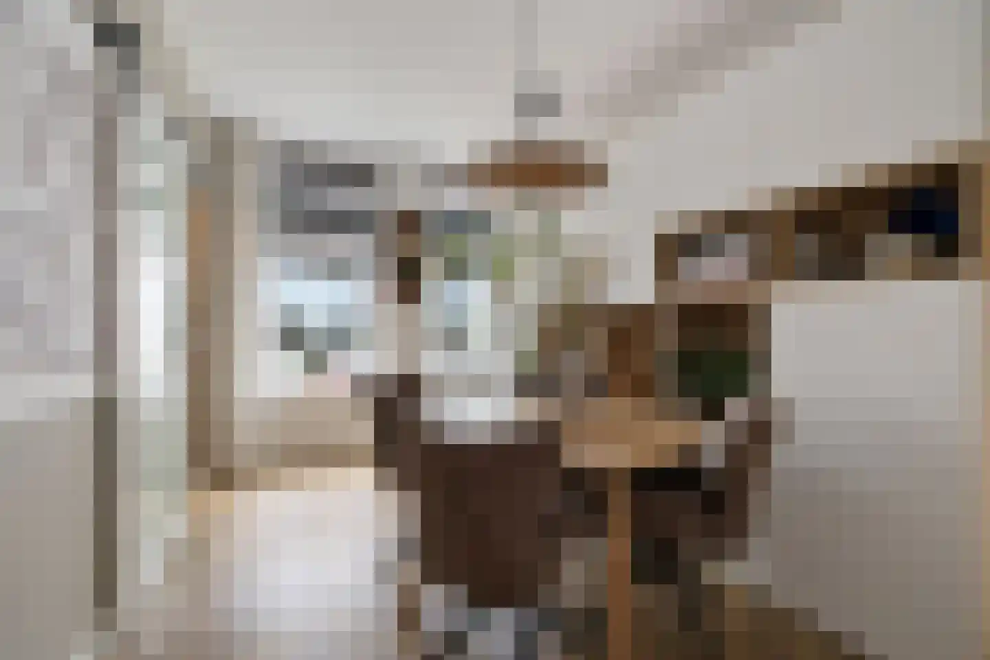 Nauwe Noorderhorne 5 Sneek thumbnail 7