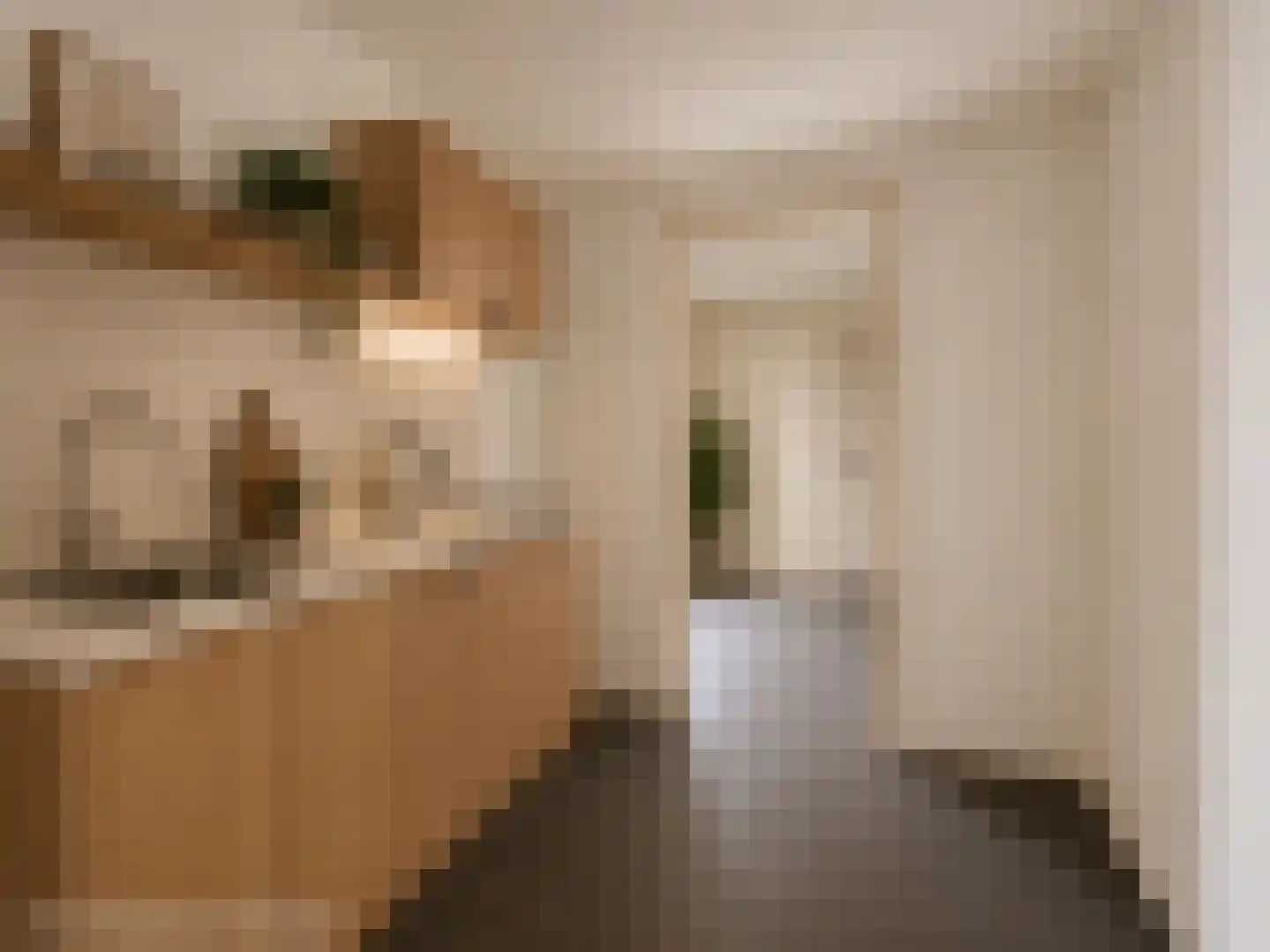 Nauwstraat 10 Dokkum thumbnail 17