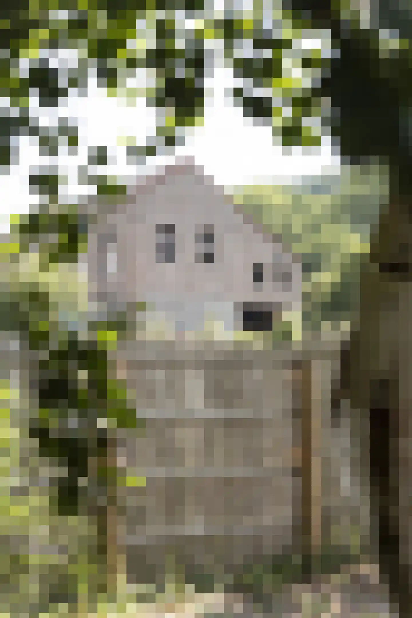 Navagne 1 Eijsden thumbnail 12