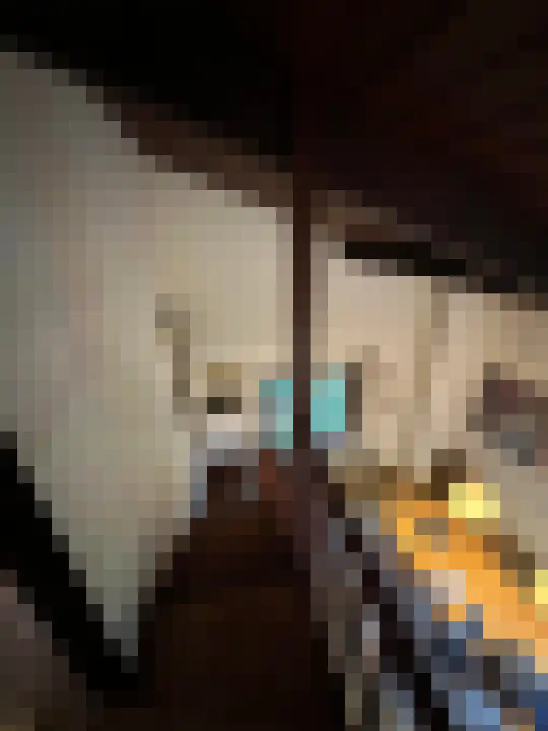 Navagne 1 Eijsden thumbnail 12