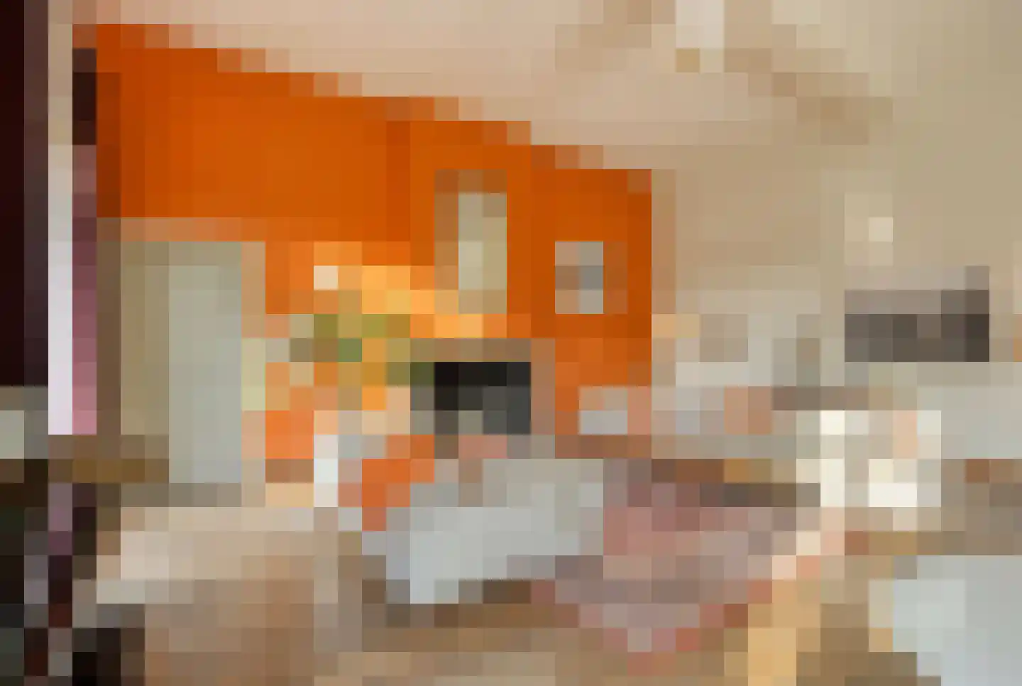 Navagne 1 Eijsden thumbnail 12