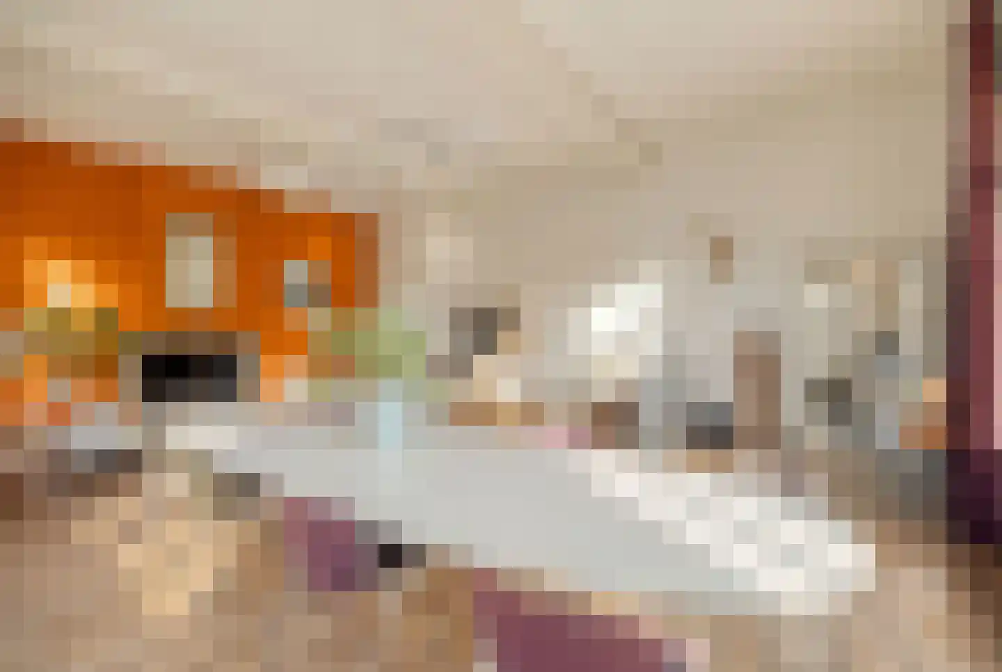 Navagne 1 Eijsden thumbnail 13
