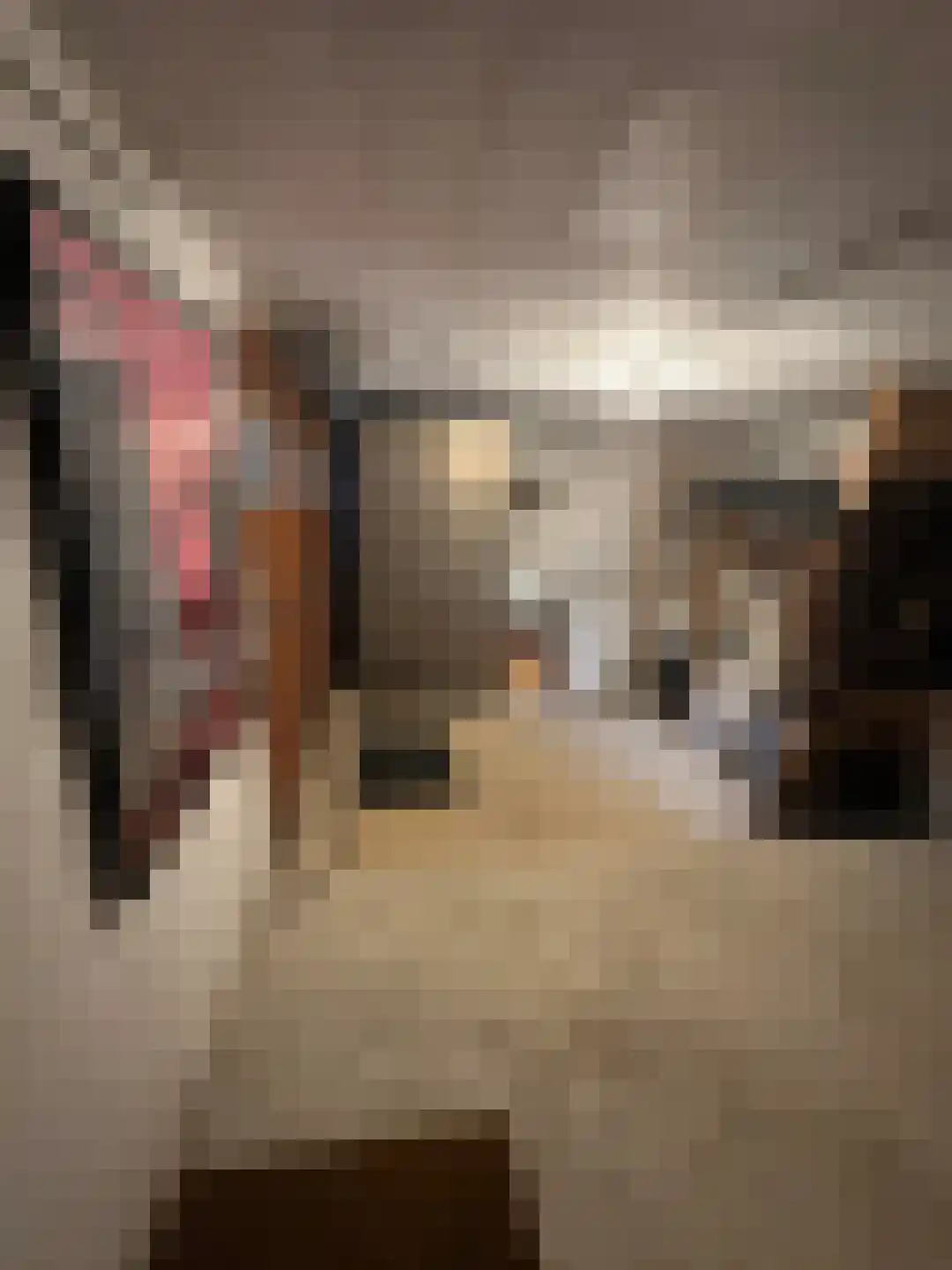 Navagne 1 Eijsden thumbnail 13