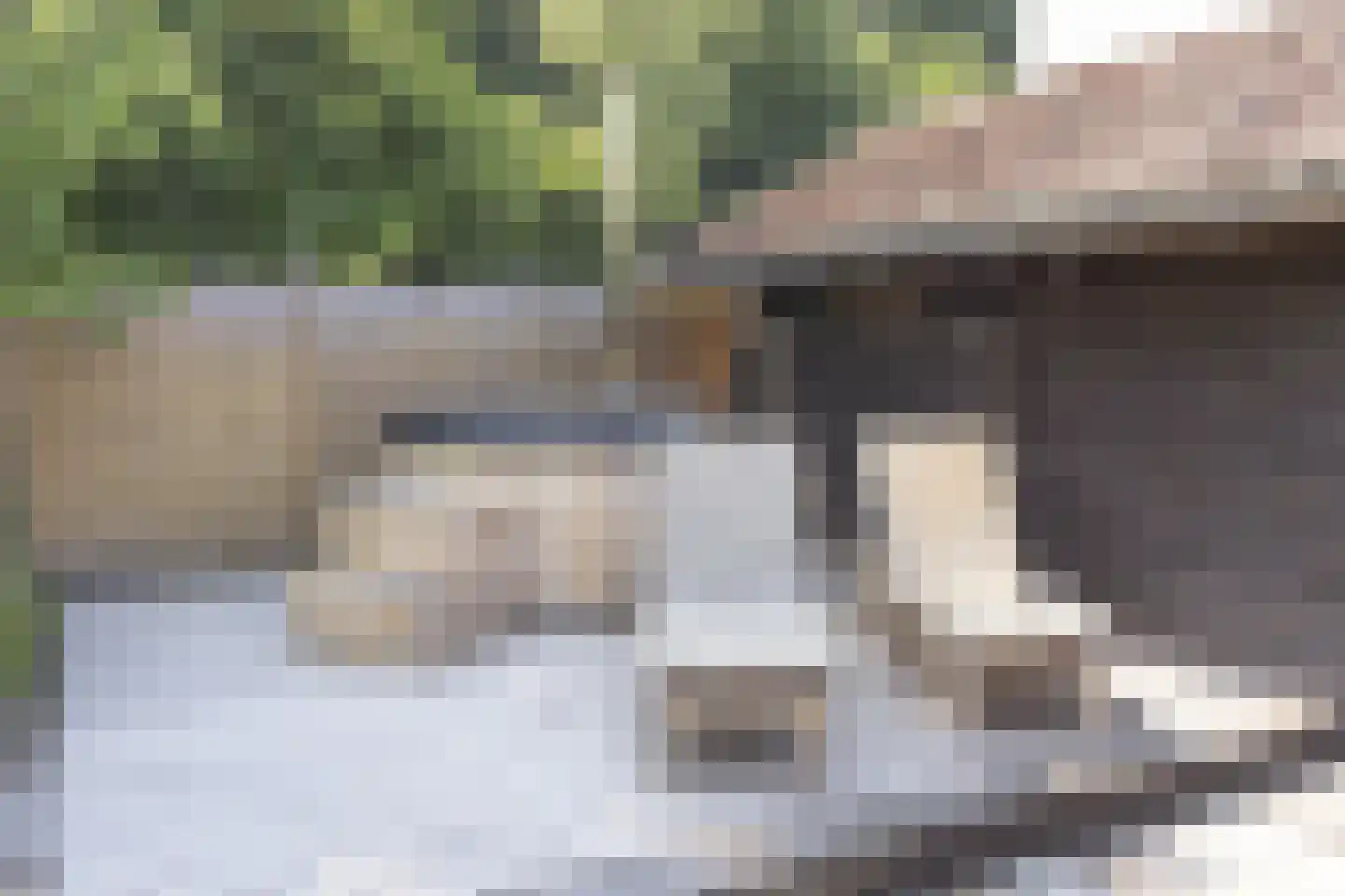 Navagne 1 Eijsden thumbnail 15