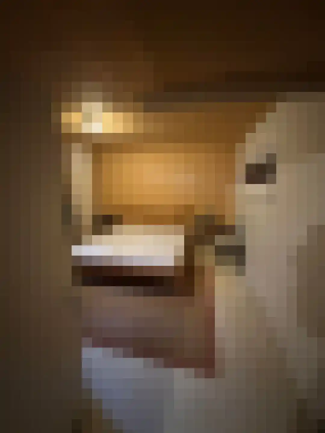 Navagne 1 Eijsden thumbnail 15