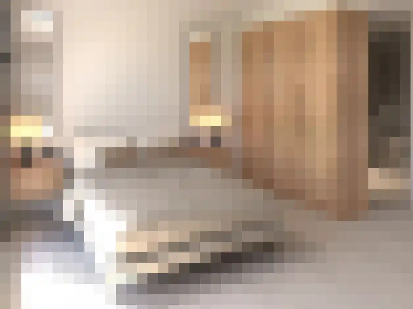 Navagne 1 Eijsden thumbnail 16