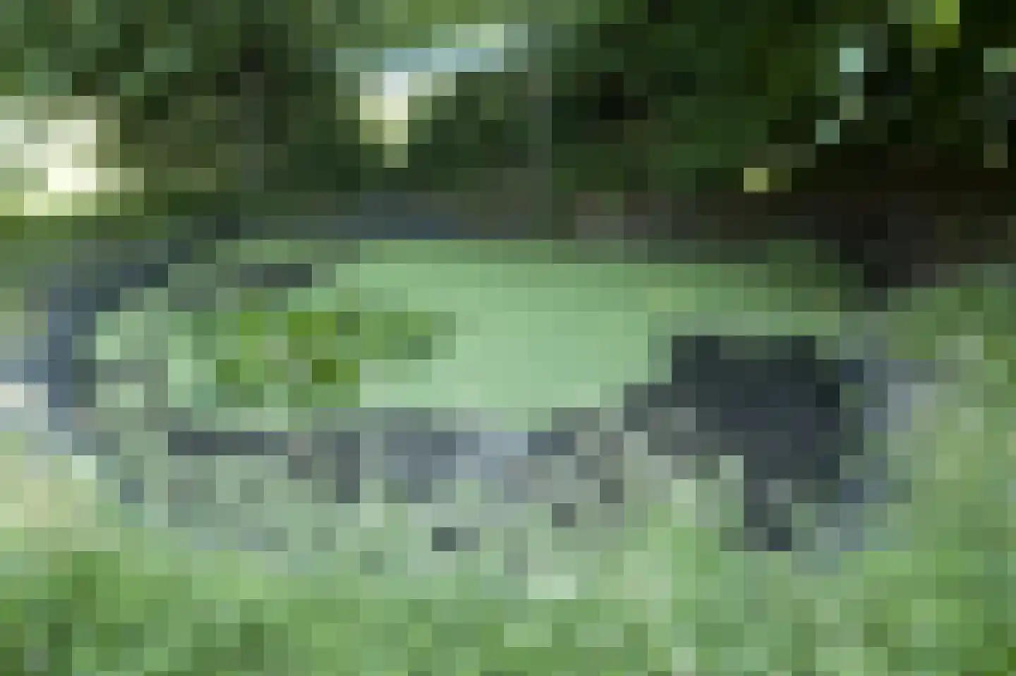 Navagne 1 Eijsden thumbnail 16