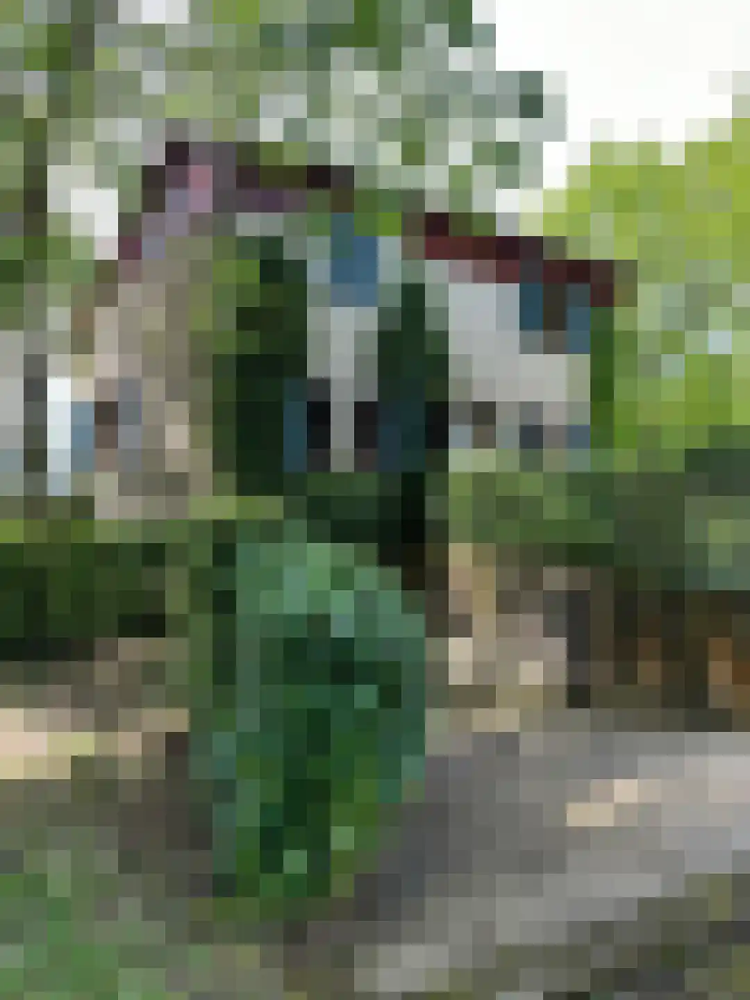 Navagne 1 Eijsden thumbnail 16