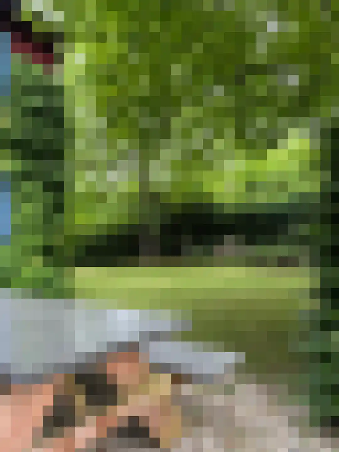 Navagne 1 Eijsden thumbnail 17