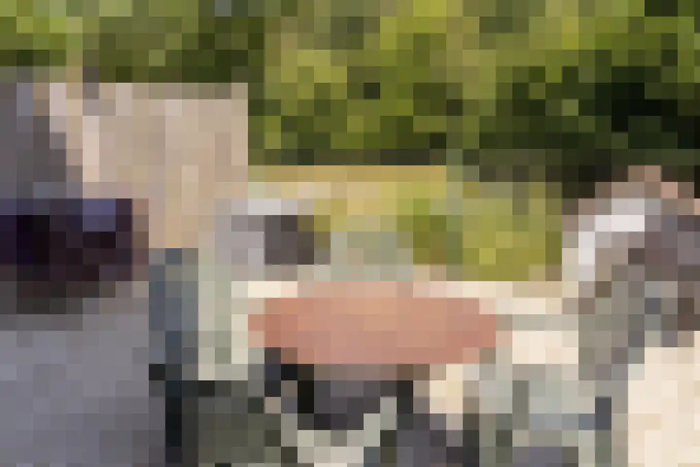 Navagne 1 Eijsden thumbnail 17