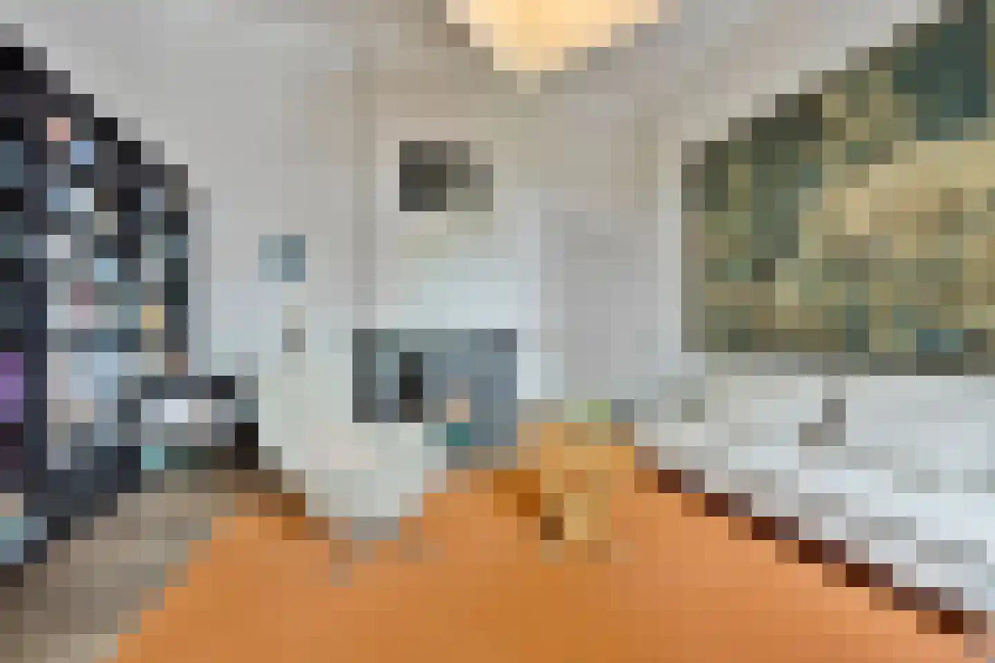 Navagne 1 Eijsden thumbnail 18