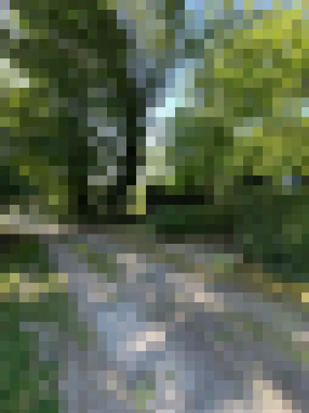 Navagne 1 Eijsden thumbnail 18