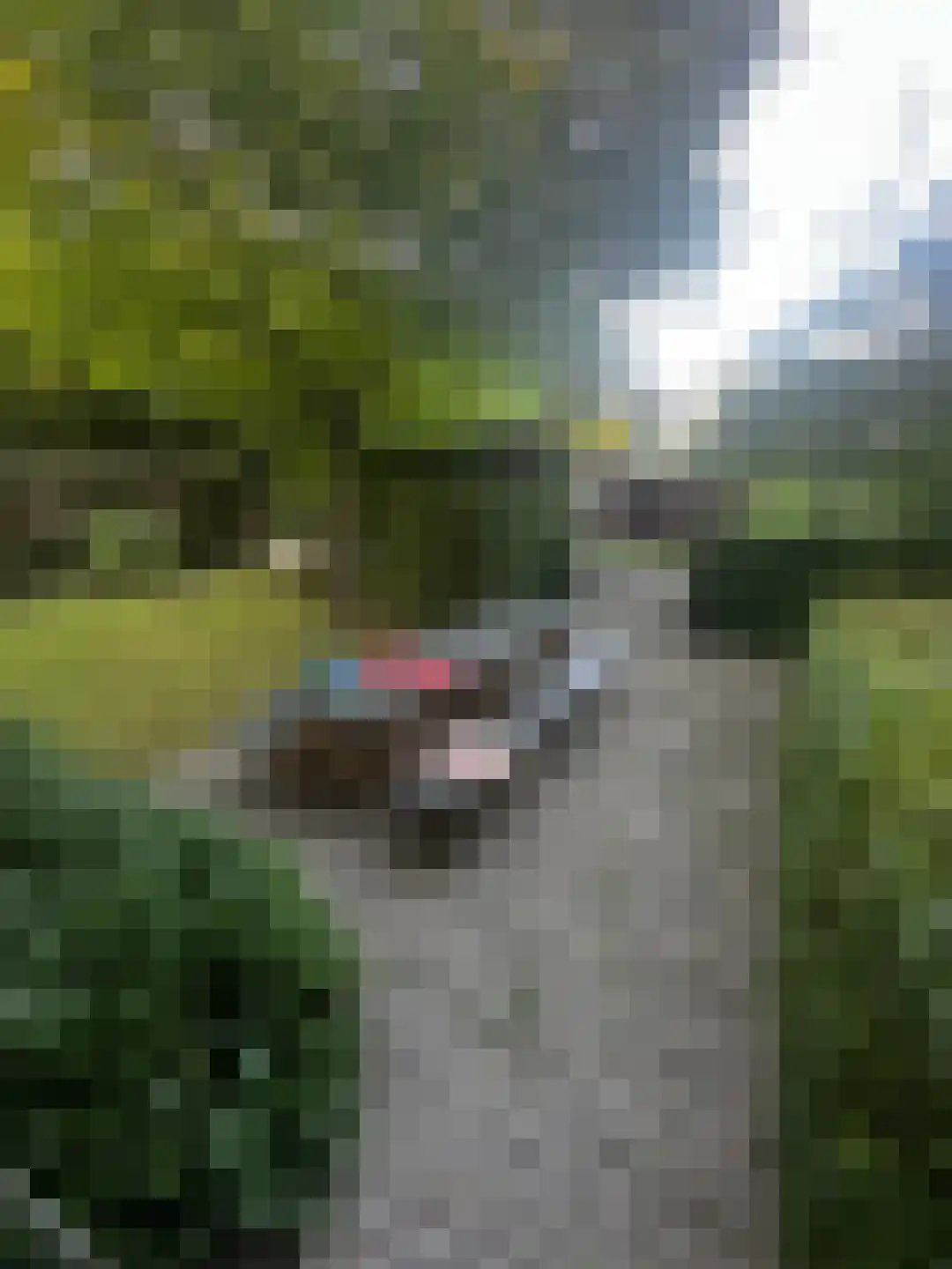 Navagne 1 Eijsden thumbnail 19