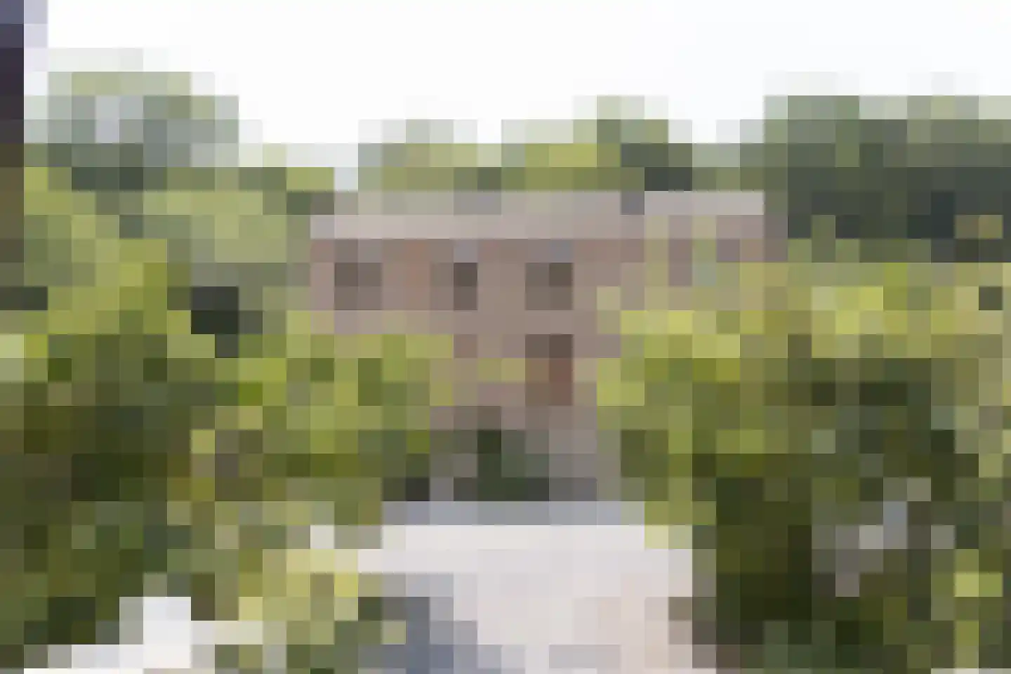Navagne 1 Eijsden foto 2
