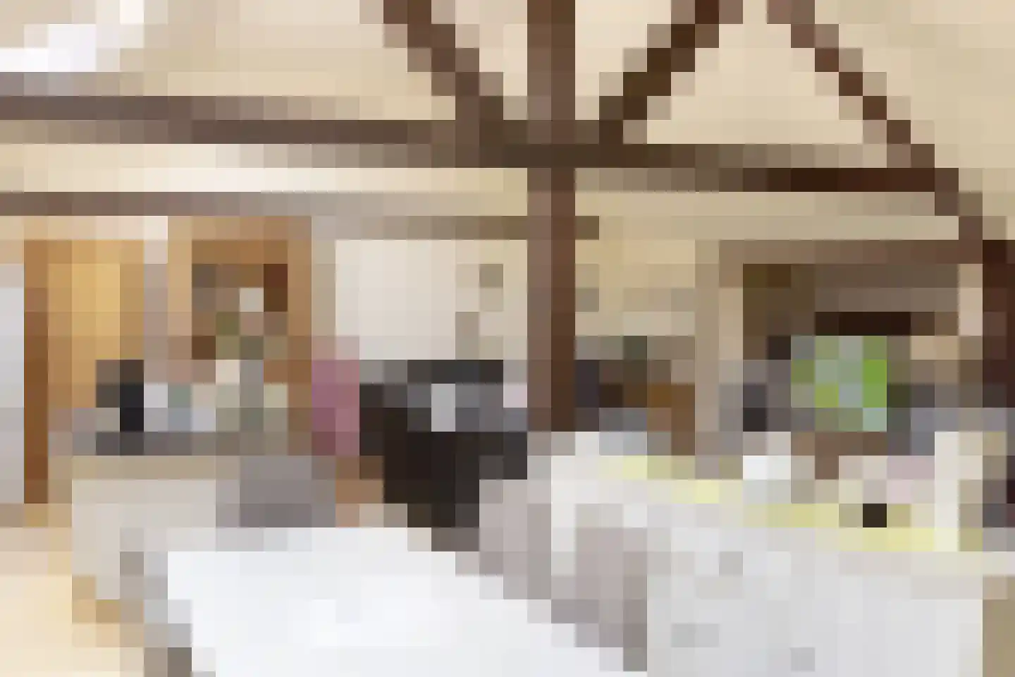 Navagne 1 Eijsden thumbnail 20