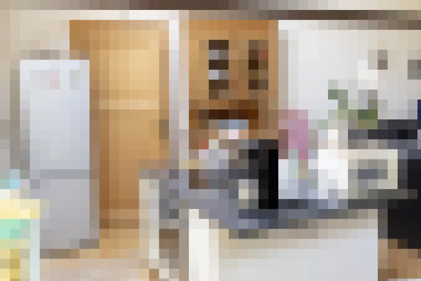 Navagne 1 Eijsden thumbnail 21