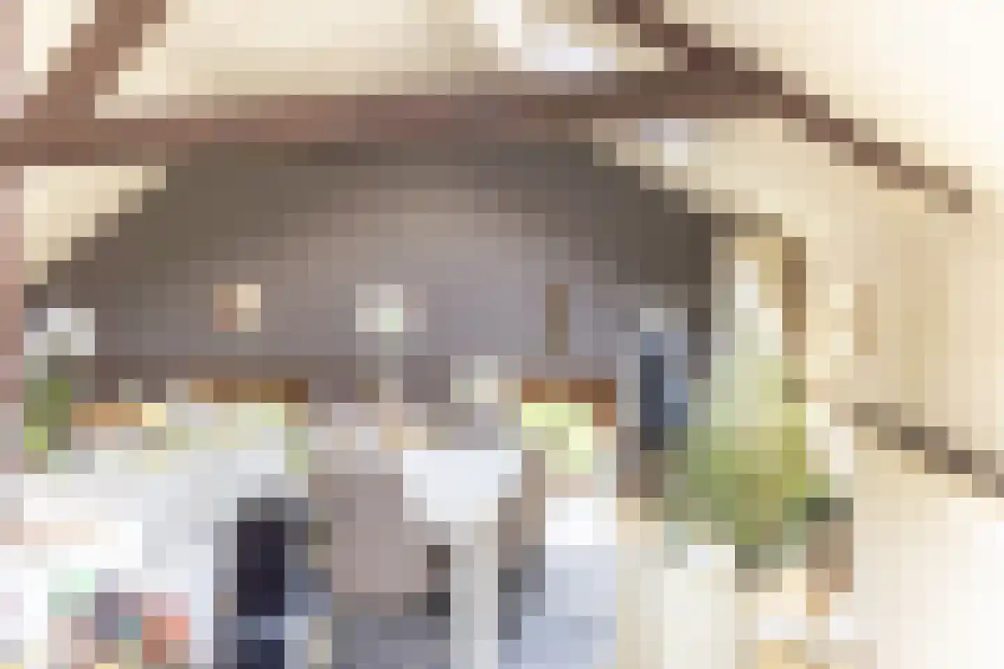 Navagne 1 Eijsden thumbnail 22