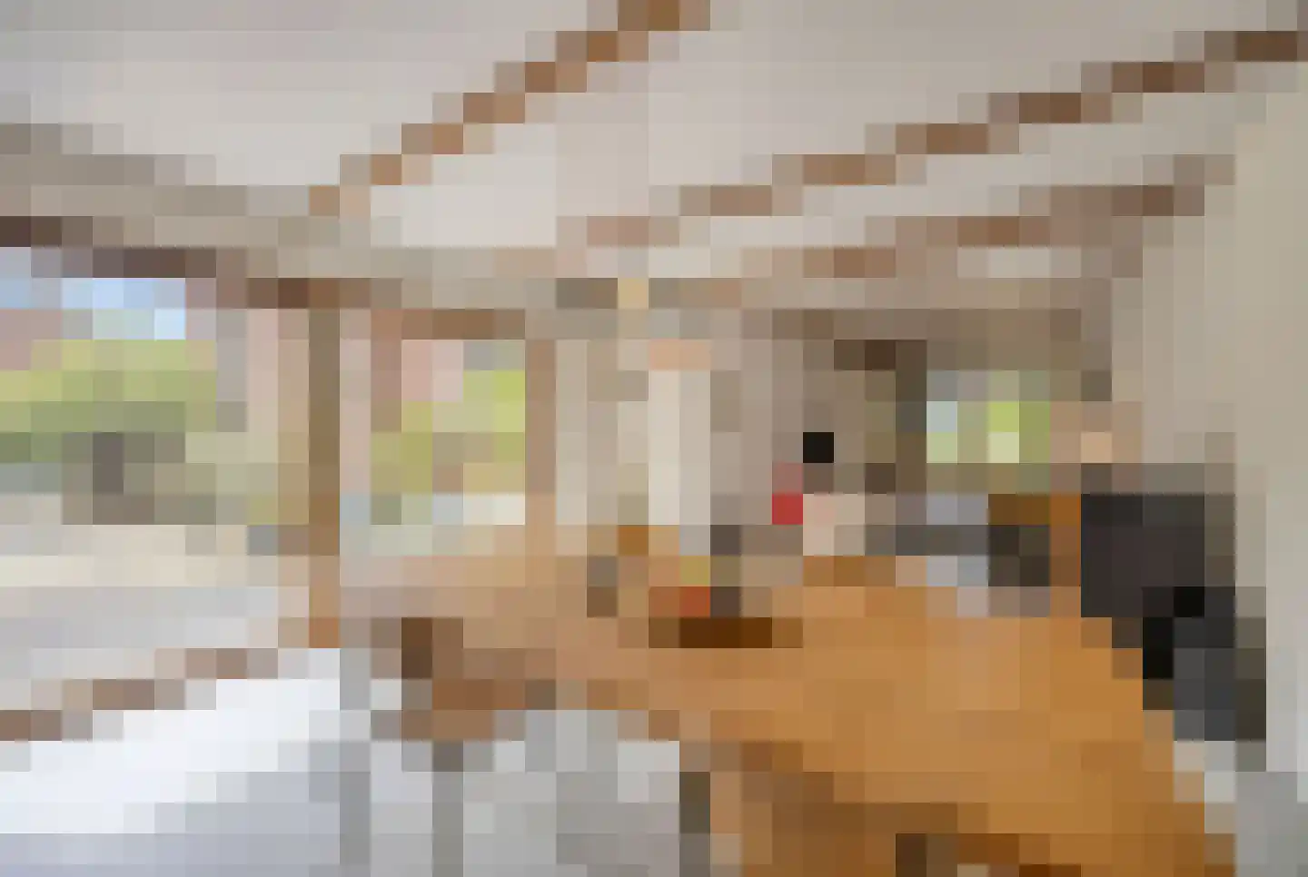 Navagne 1 Eijsden thumbnail 23