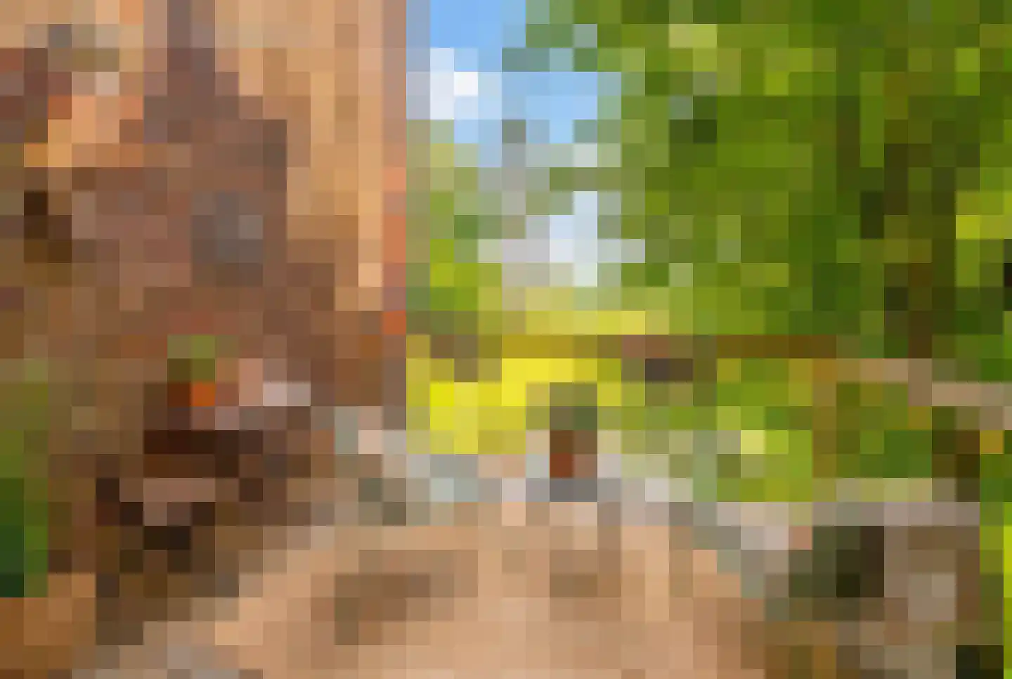 Navagne 1 Eijsden thumbnail 28