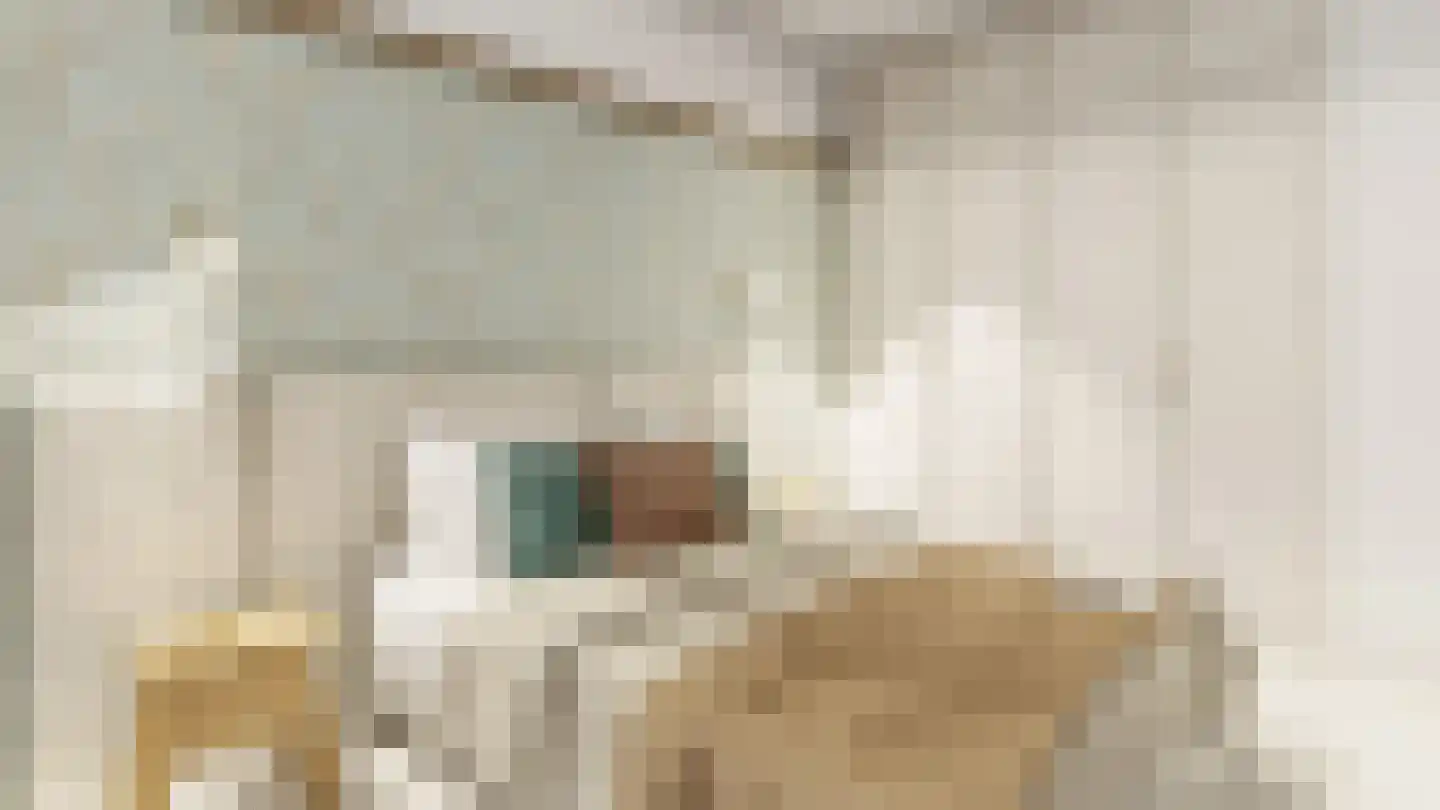 Navagne 1 Eijsden thumbnail 29