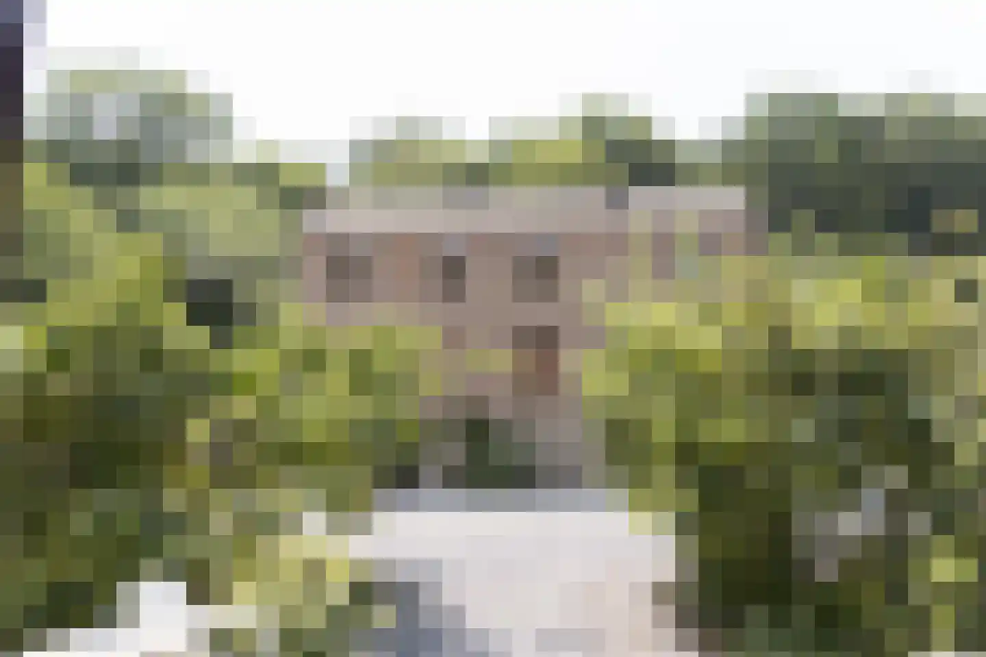 Navagne 1 Eijsden foto 3
