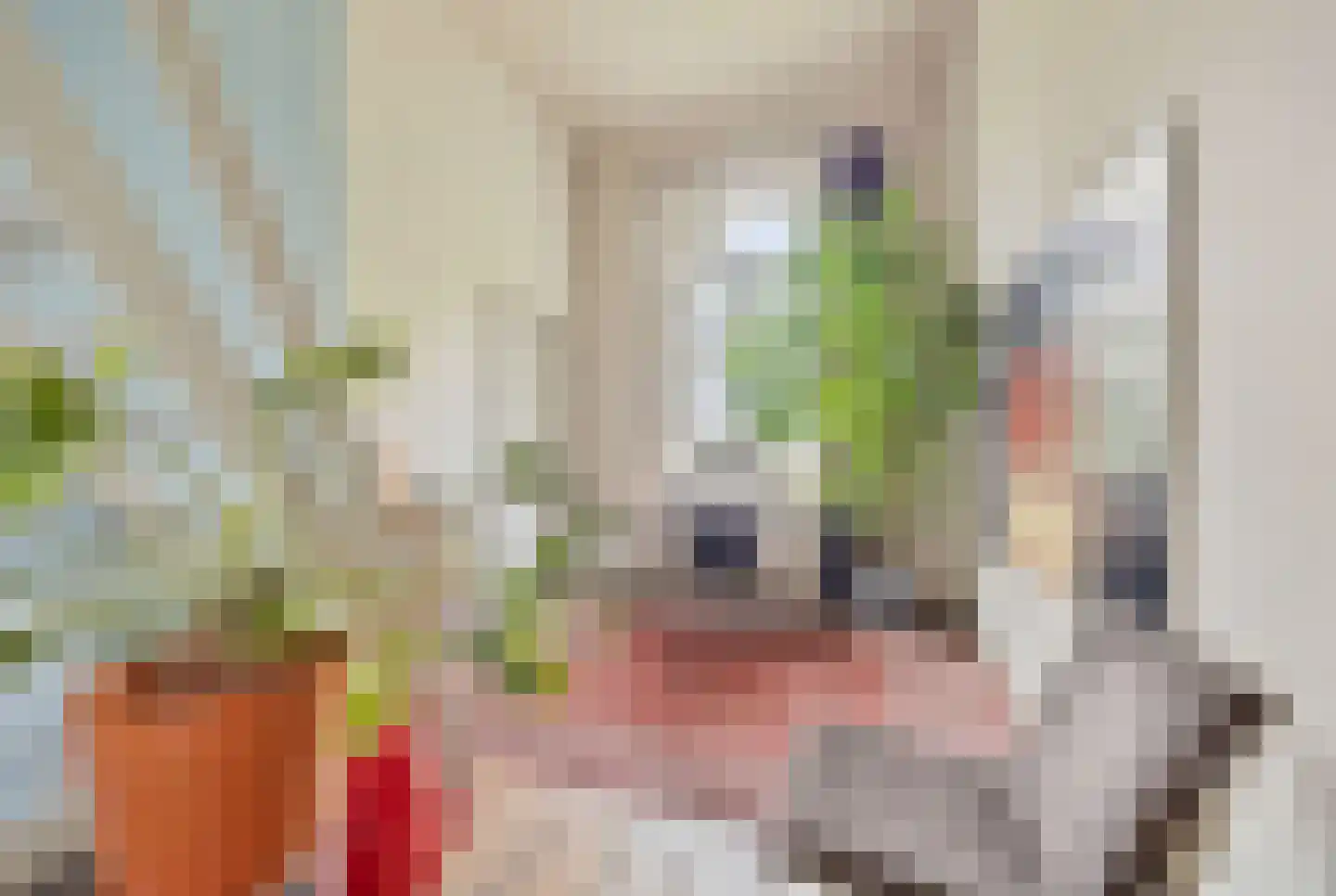 Navagne 1 Eijsden thumbnail 31