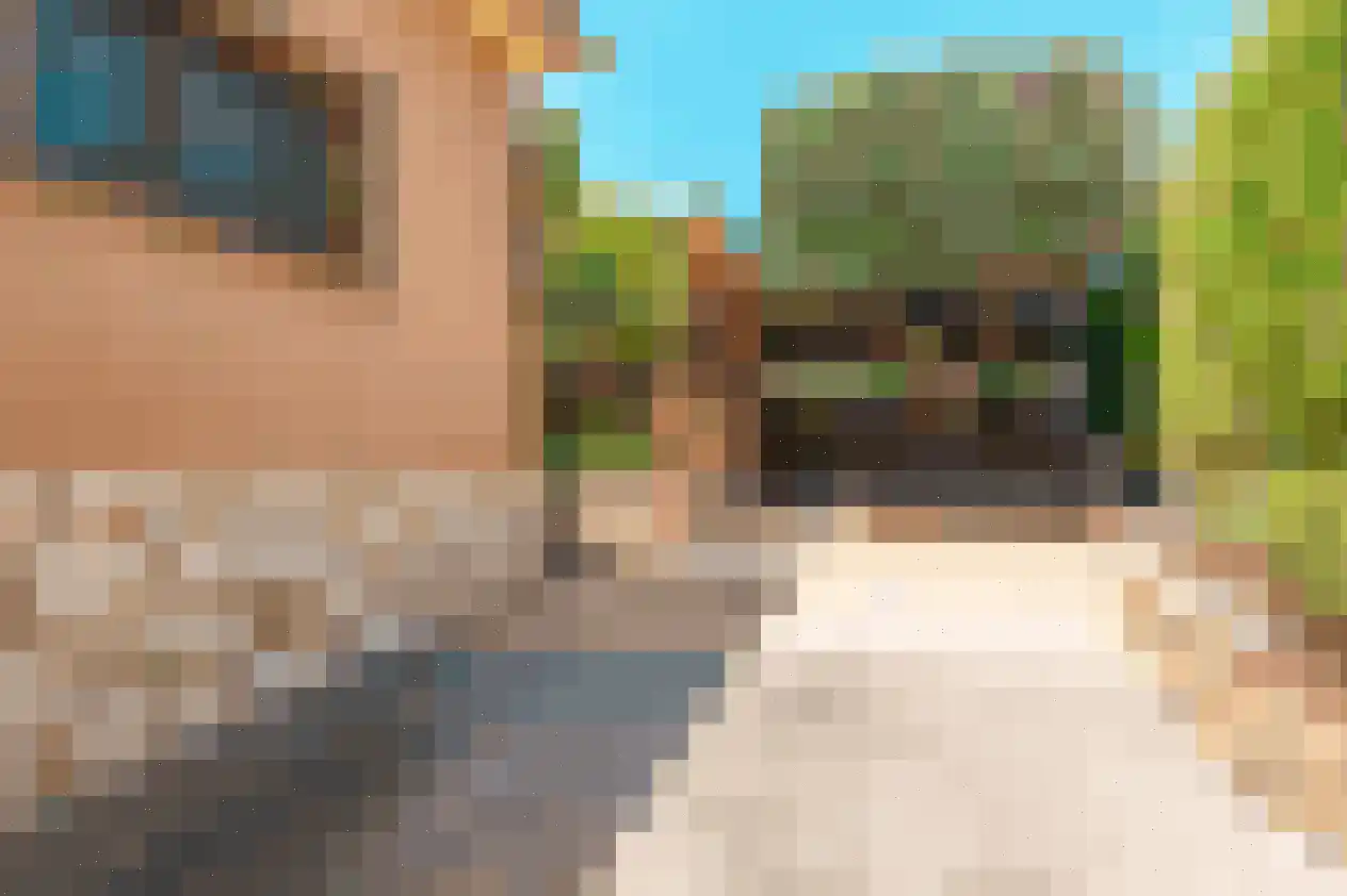 Navagne 1 Eijsden thumbnail 4